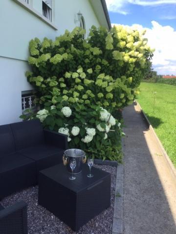 -villa Royal Apartment Oberlauterbach
